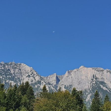 Pensiunea Luna Буштені Екстер'єр фото